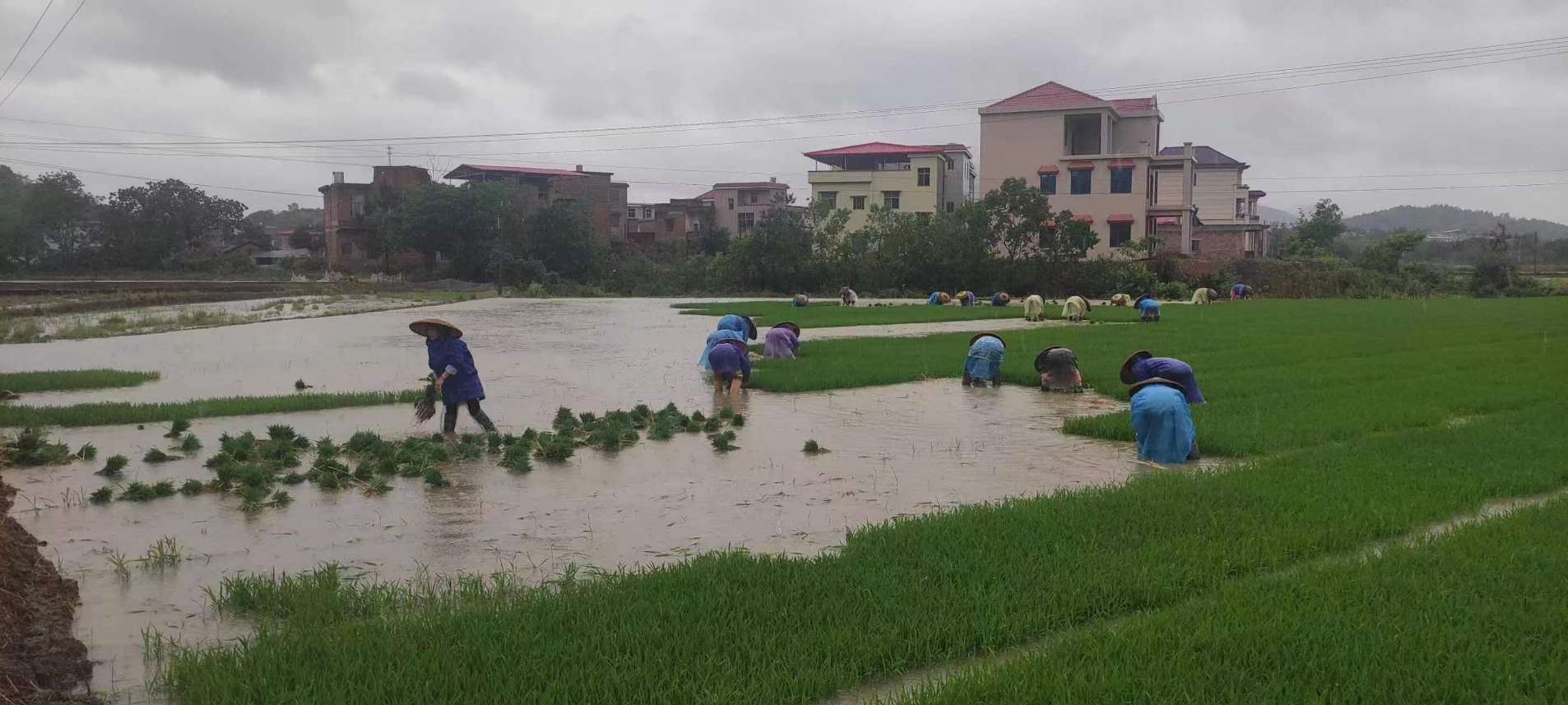 湖南政协新闻网