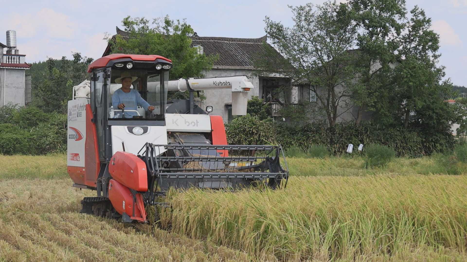 湖南政协新闻网