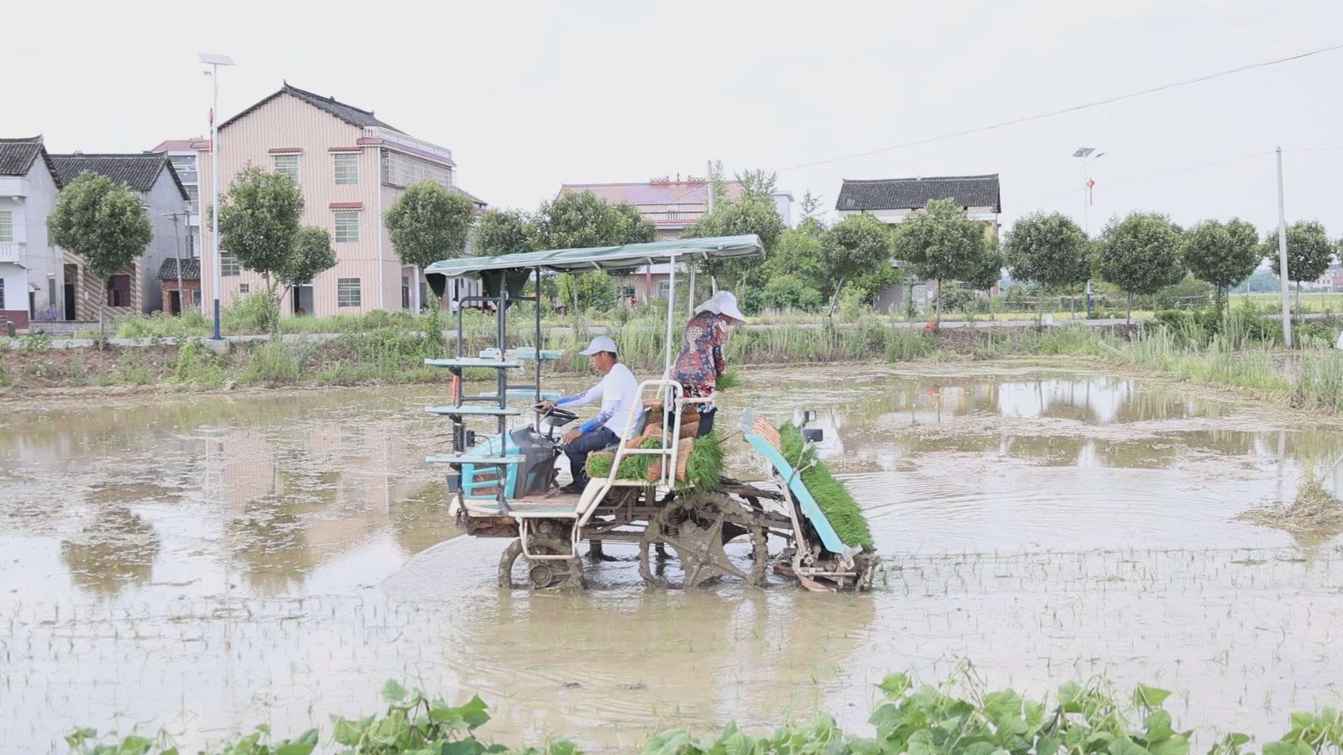 湖南政协新闻网