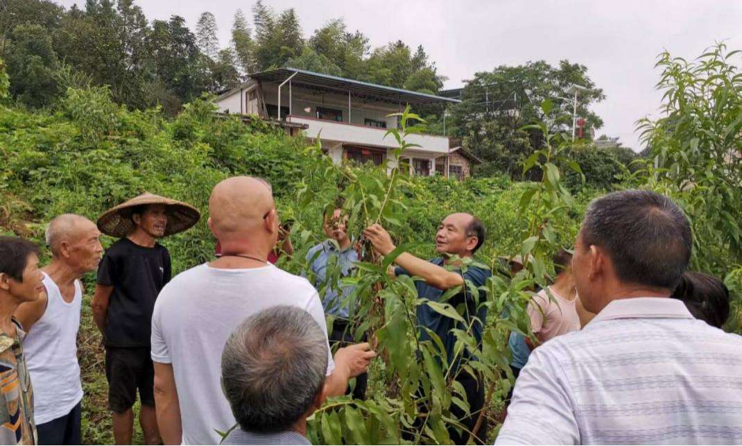 湖南政协新闻网