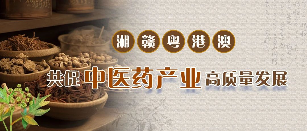 湖南政协新闻网