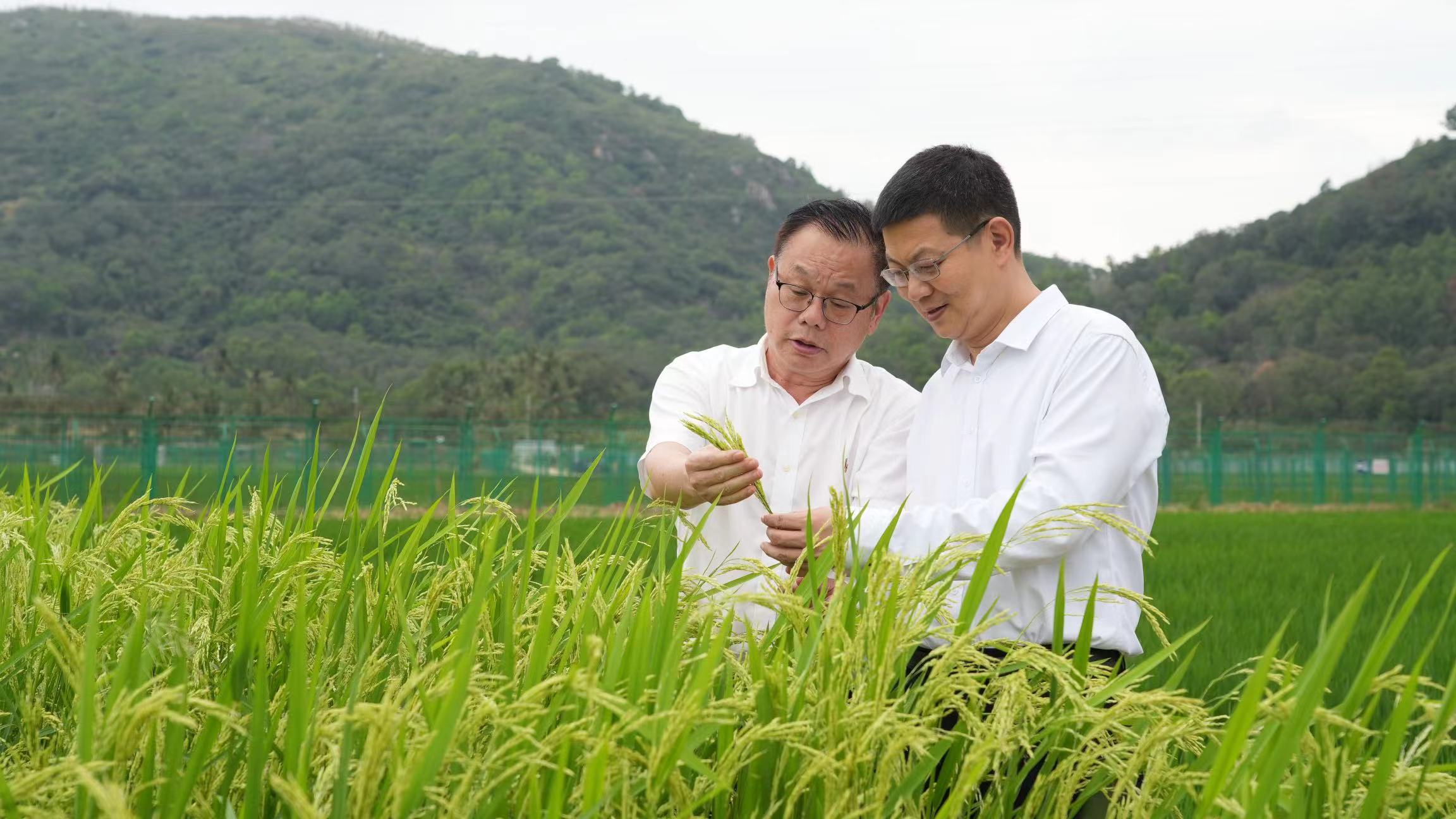 湖南政协新闻网