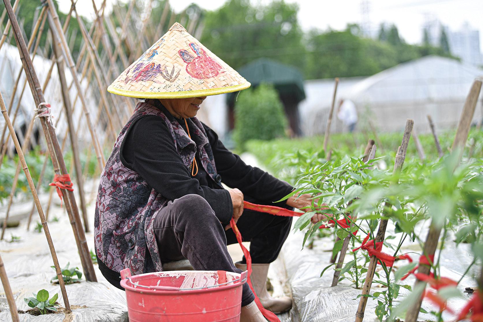 湖南政协新闻网