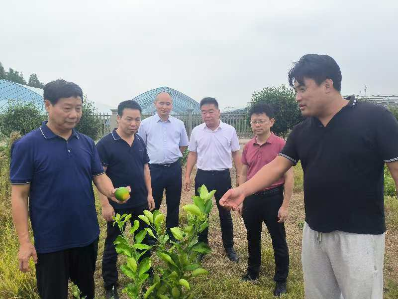 湖南政协新闻网