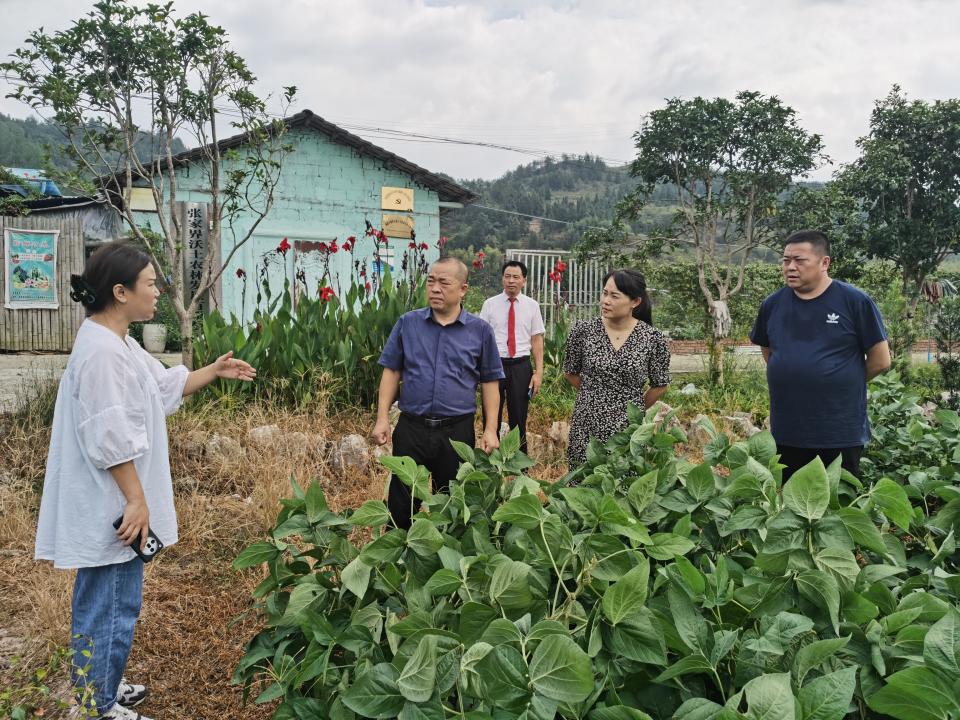 湖南政协新闻网