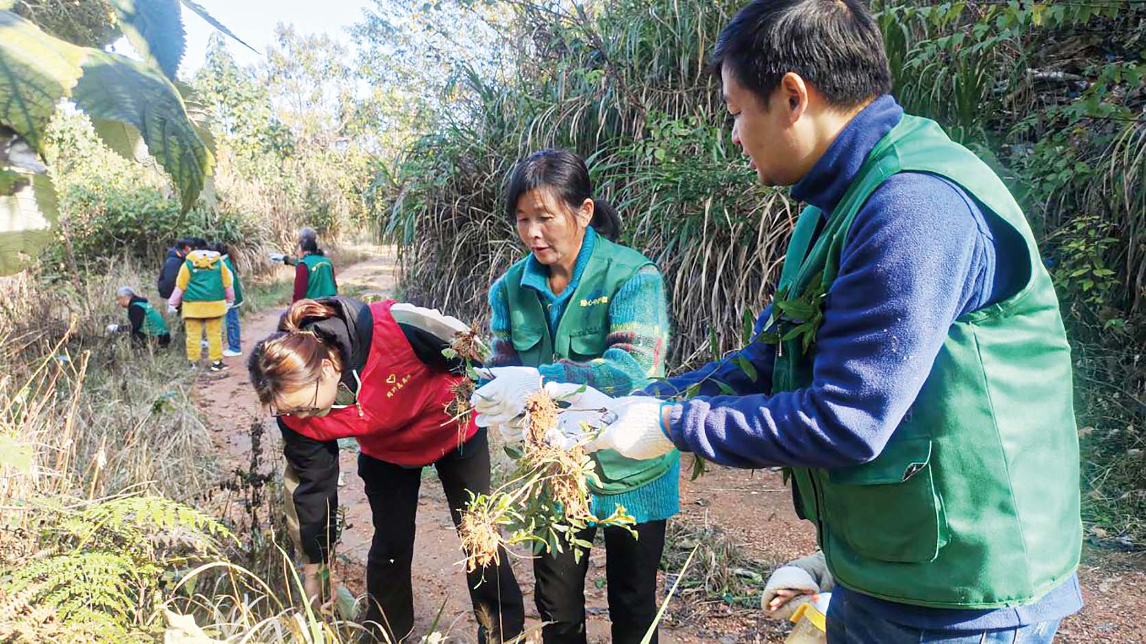 湖南政协新闻网