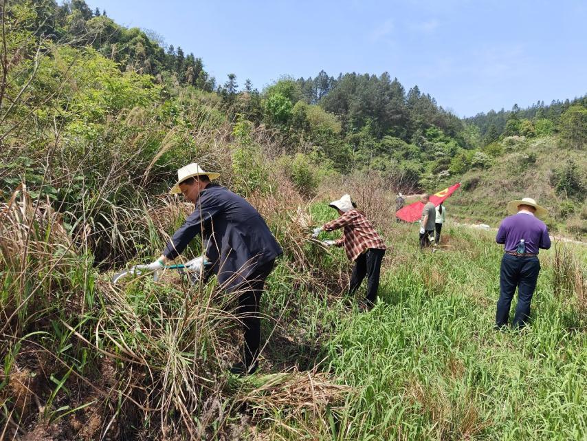 湖南政协新闻网 湖南政协新闻网