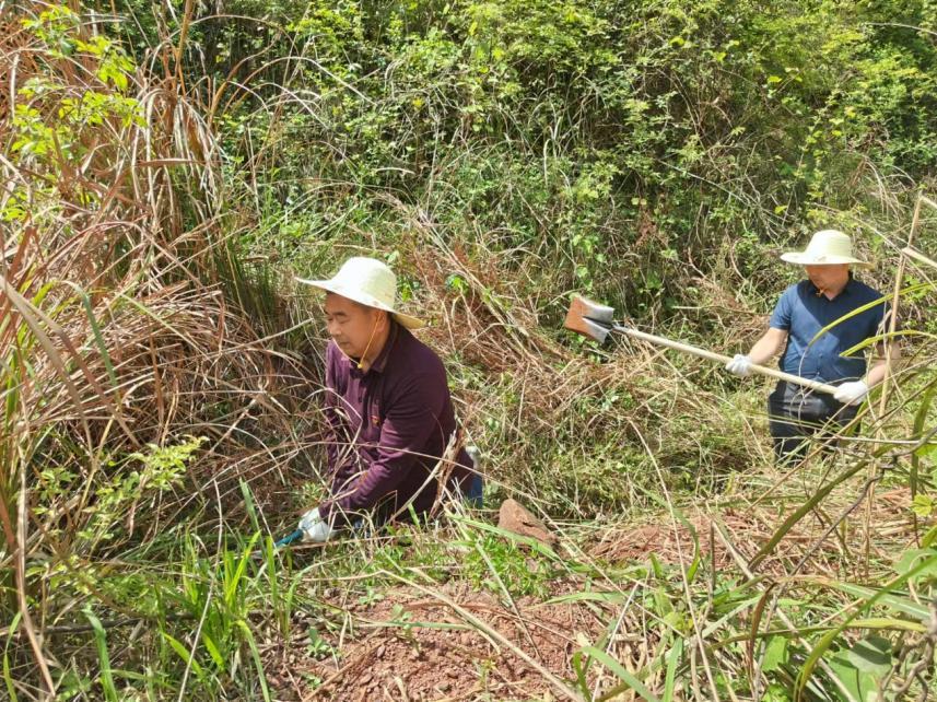 湖南政协新闻网 湖南政协新闻网