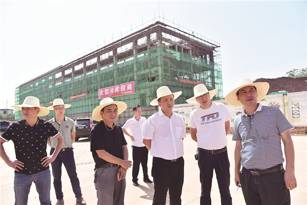 徐志毅调研河西重点项目建设情况 (3).jpg